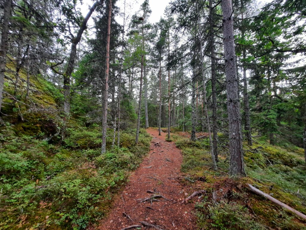 Sentier du parc Tyresta