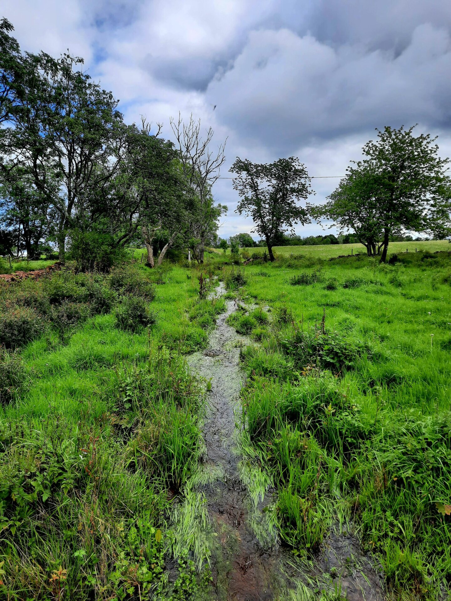 Sentier innondé à Källby