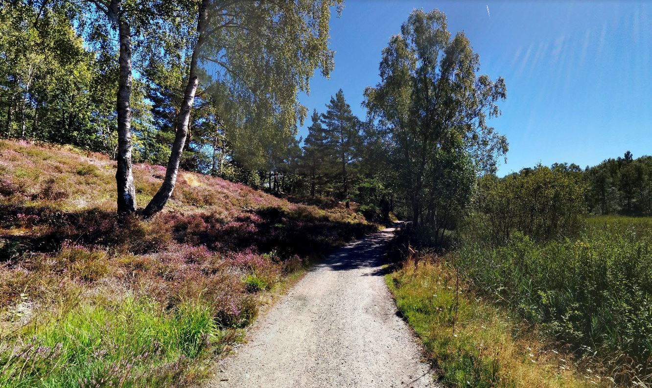 Le parc naturel de Göteborg